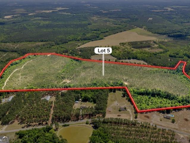 Land for sale in Cadwell, Georgia