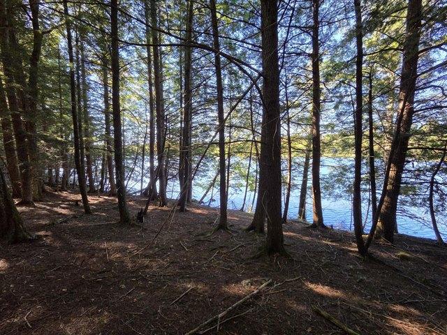 Land for sale in Garland, Penobscot County