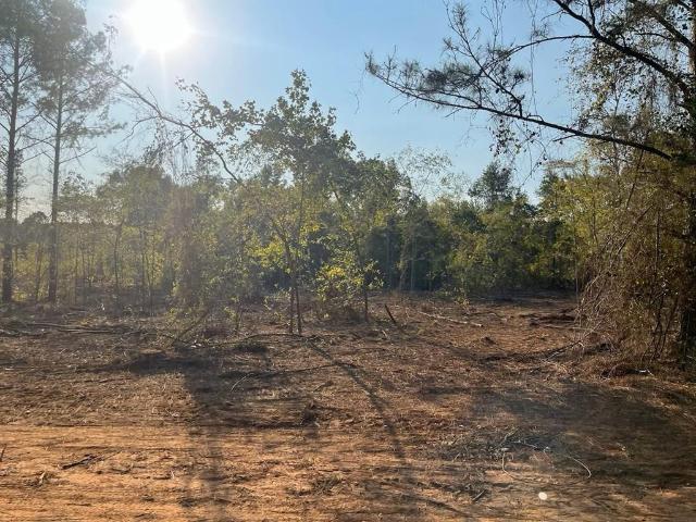 Land for sale in Louisiana
