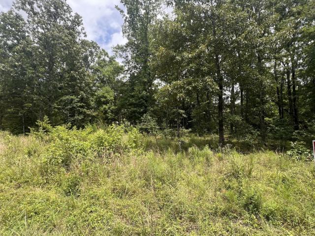 Land for sale in Tennessee