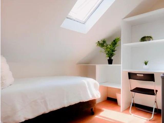 Room for rent in Sydney, New South Wales