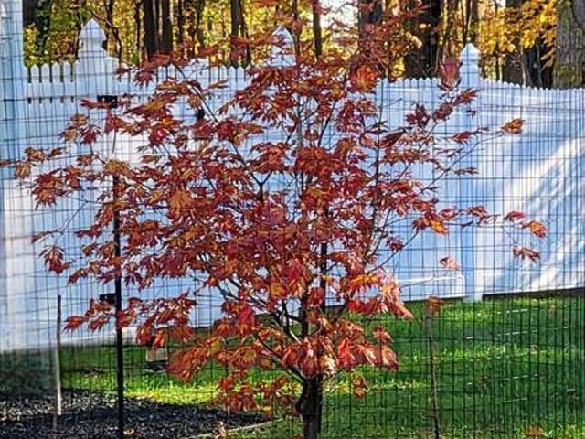 House for sale in Emerson, New Jersey