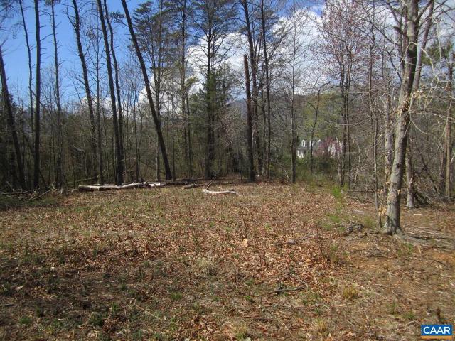 Land for sale in Nellysford, Nelson County