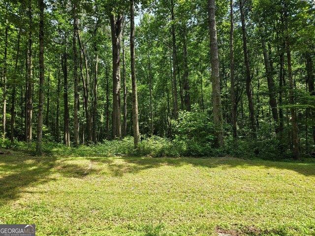 Land for sale in Temple, Georgia