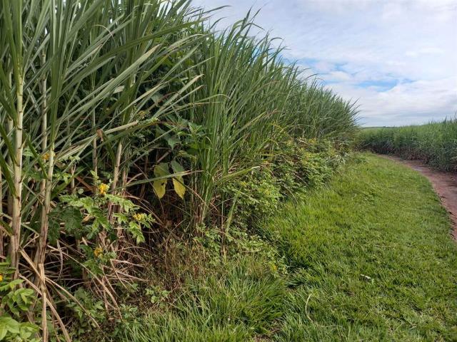 Farm for sale in Princess Grant, Kwazulu-natal