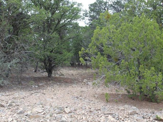 Land for sale in Tijeras, Bernalillo County