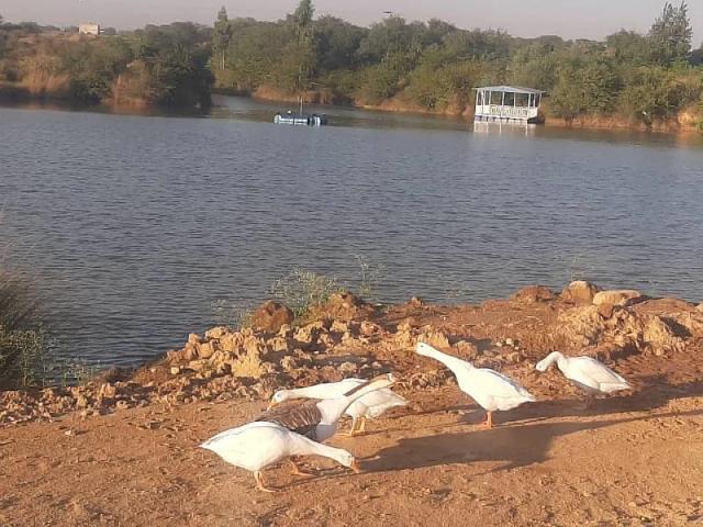 Land for sale in Islamabad