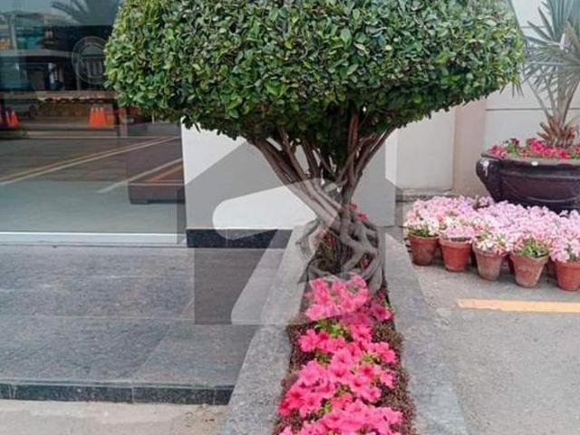 House for rent in Sialkot, Islamabad Capital Territory