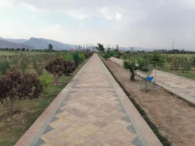 Land for sale in Peshawar, North West Frontier Province