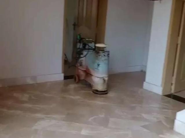 House for rent in Multan, Islamabad Capital Territory