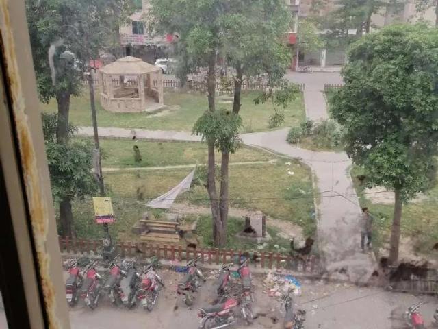 Apartment for rent in Rawalpindi, Islamabad Capital Territory