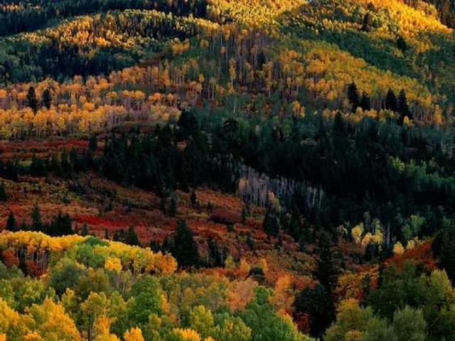 Land for sale in ایبٹ آباد, ہزارہ ڈویژن