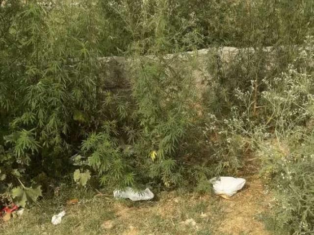 Land for sale in Rawalpindi, Islamabad Capital Territory