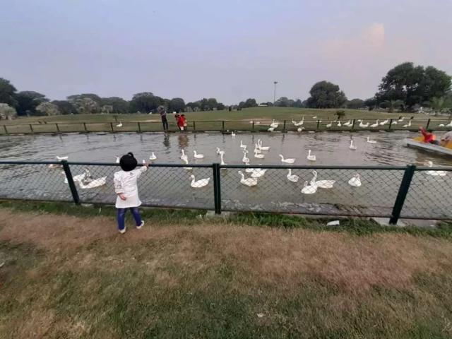 Land for sale in Rawalpindi, Islamabad Capital Territory