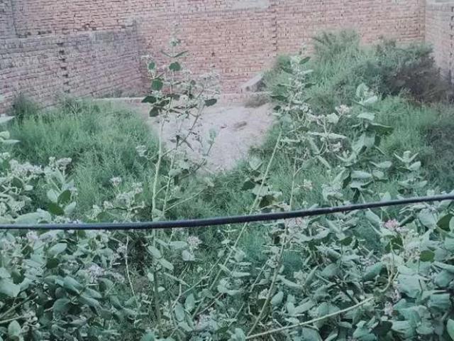 Land for sale in Multan, Islamabad Capital Territory