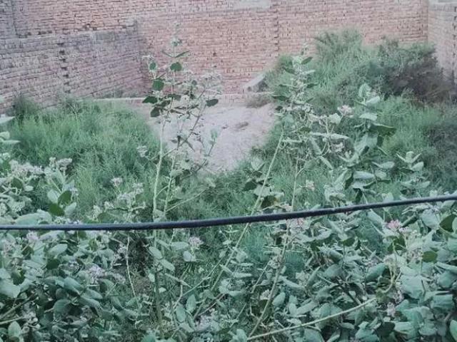 Land for sale in Multan, Islamabad Capital Territory