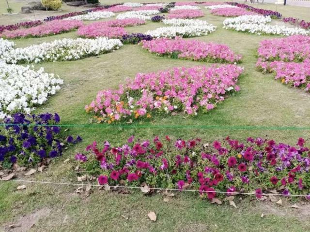 Land for sale in جہلم چھاؤنی, جہلم