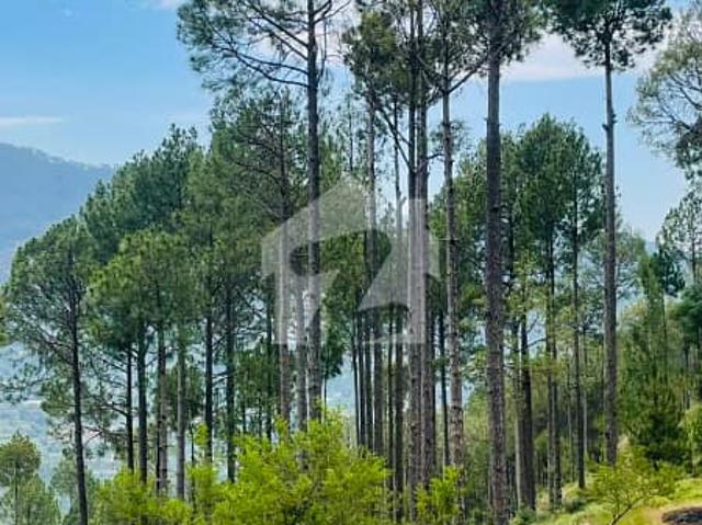 Property for sale in Murree, Islamabad Capital Territory