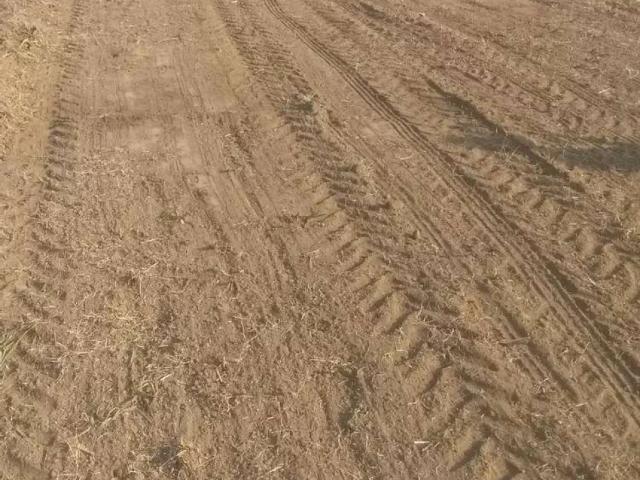 Land for sale in چکوال, راولپنڈی ڈویژن