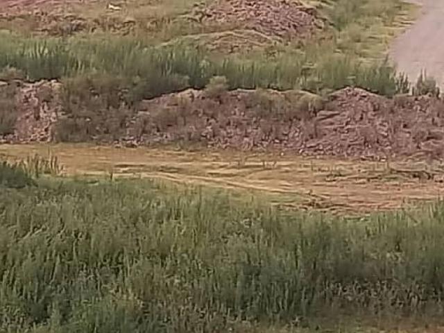 Land for sale in I-16/2, D-16