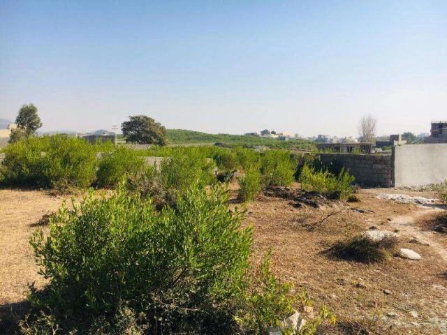 Land for sale in Islamabad