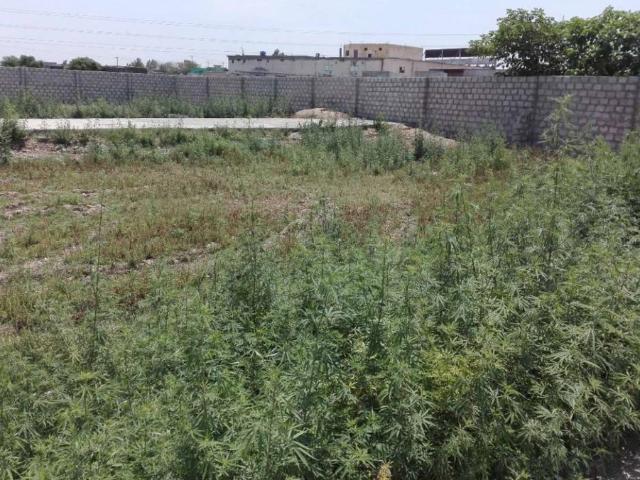 Land for sale in Rawalpindi, Islamabad Capital Territory