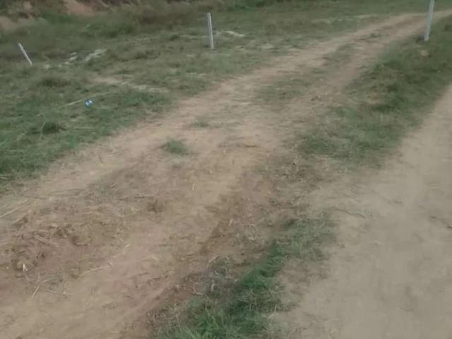 Property for rent in Rawalpindi, Islamabad Capital Territory