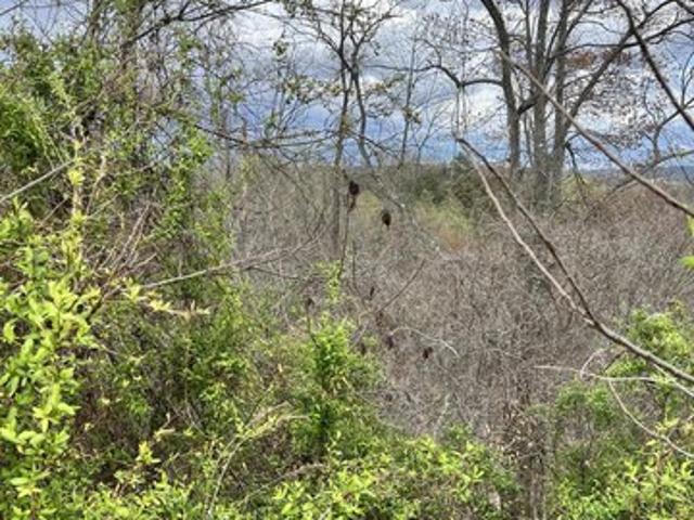 Farm for sale in Booneville, Kentucky