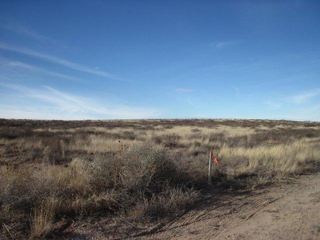 Land for sale in Moriarty, New Mexico