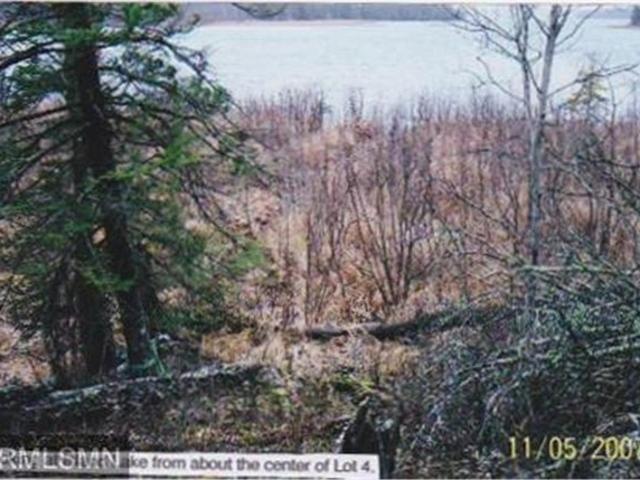 Land for sale in Northome, Minnesota