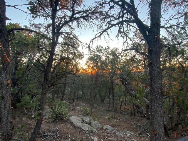 Land for sale in Edgewood, New Mexico