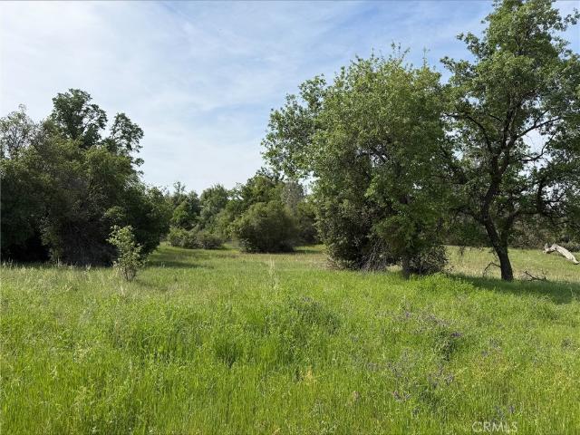 Land for sale in North Fork, California
