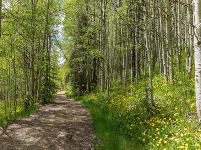 Property for sale in Rico, Colorado