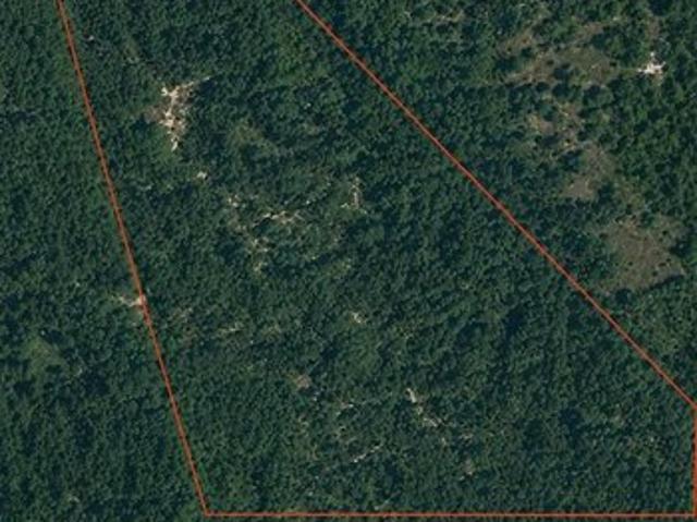 Land for sale in Steelville, Missouri