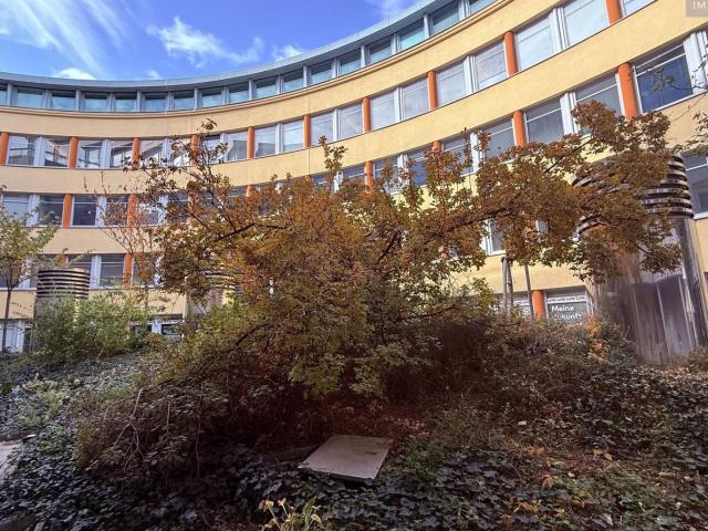 Büro mieten in Seestadt, Wien
