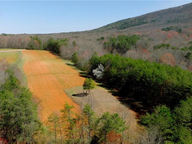 Land for sale in Stokes, North Carolina