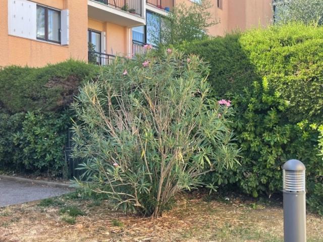 Appartement vente à Grasse, Antibes