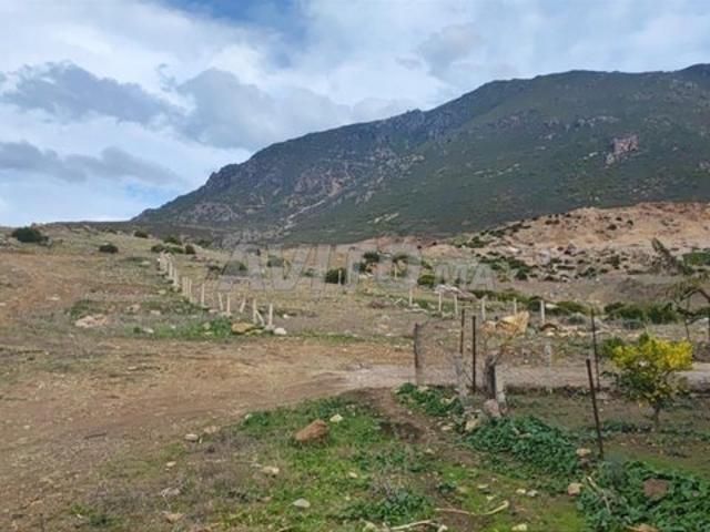 Propriété vente à Chauen, Tanger-Tétouan