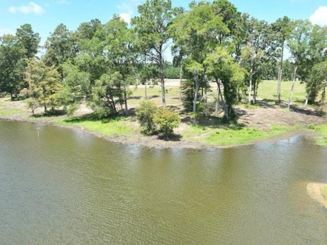 Land for sale in Zwolle, Louisiana