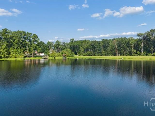 Land for sale in Ellabell, Georgia
