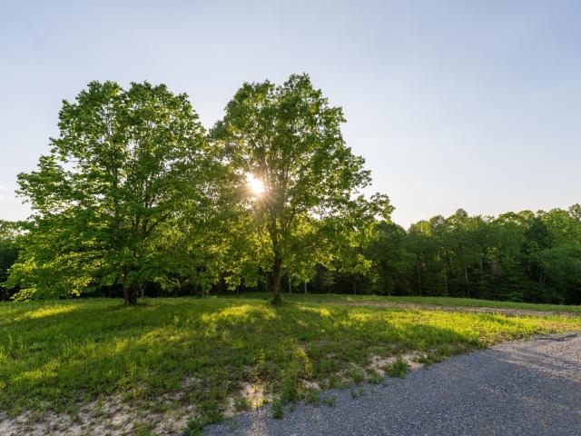 Land for sale in Tennessee