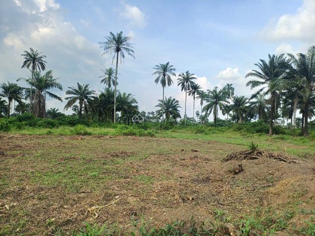 Land for sale in Etche, Rivers