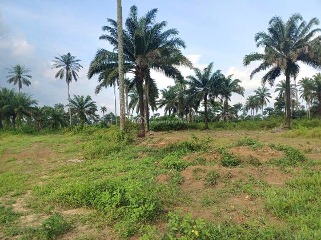Land for sale in Etche, Rivers