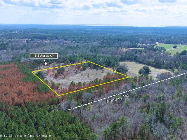 Land for sale in Manning, Clarendon County