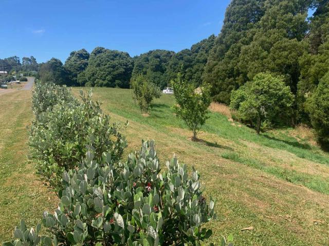 Property for sale in Beech Forest, Victoria