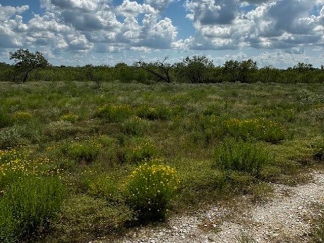 Land for sale in Waelder, Texas