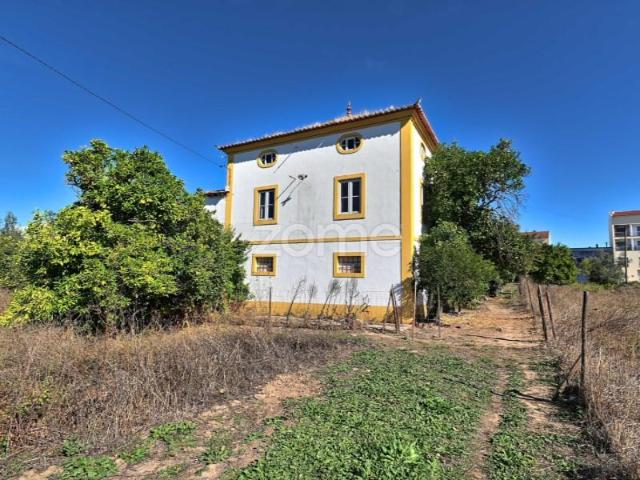 Terreno venda em Abrantes, Santarém