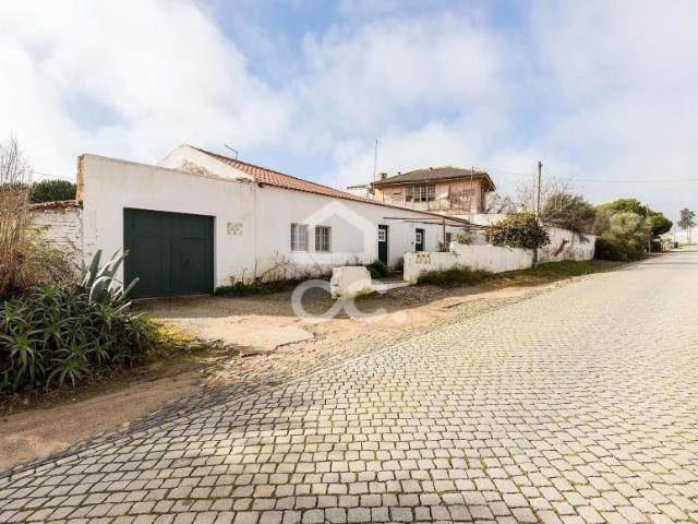 Terreno venda em Alcácer Do Sal, Setúbal