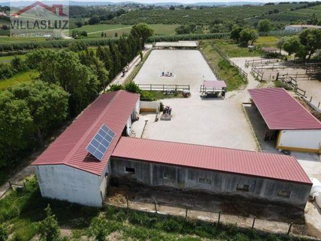 Terreno venda em Alcobaça, Leiria