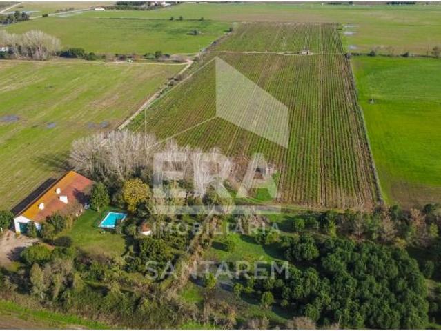 Terreno venda em Cortiçóis, Almeirim